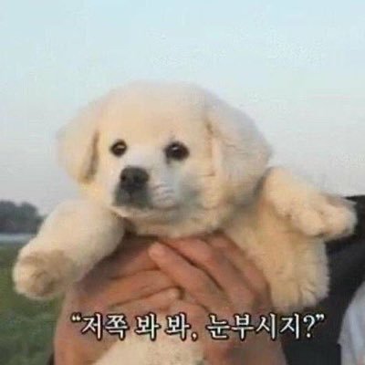 livinin2030's profile picture. 여기서 저쪽은 저의 미래입니다 ..