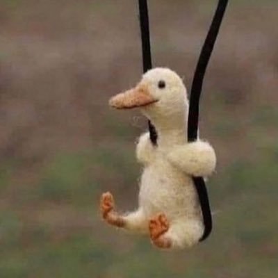 Ioritkrzk's profile picture. ミュージカル🌼宝塚🌼甲斐翔真さん🌼望海風斗さん🌼咲妃みゆさん🌼海宝直人さん🌼低浮上ぎみです🙇‍♀️