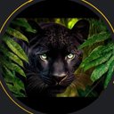 Felix Bauer - @bauer_felix4880 - Twitter