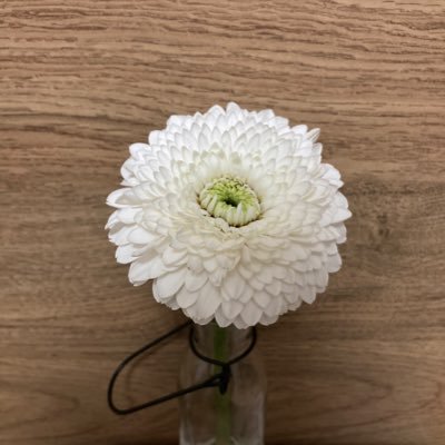 hk120911Z's profile picture. 