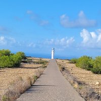 Mary Frances Ryan (@maryfrancesryan) 's Twitter Profile