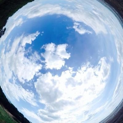 mind_forums's profile picture. Freedom Of Information, Love and People. UFO. UAP.  NHI. Progressive. Disruptive disclosure. Open Minds Forum.