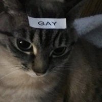 LeafMeBe_2 (@leafmebe_2) 's Twitter Profile