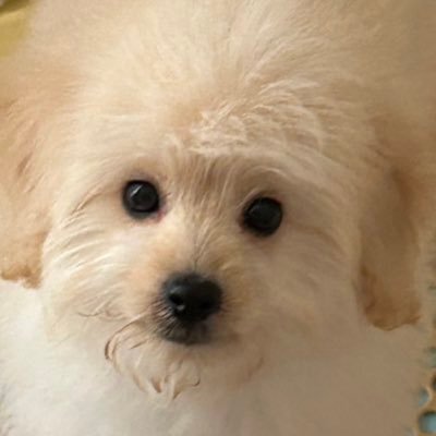 yHaYB4XZgh72908's profile picture. wti原油メイン 5年以内に1000万を目標 学生です