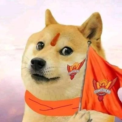 ChimtuSRH's profile picture. SRH 🧡@sunrisershyd