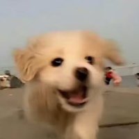 Cy (@chaseyourself1) 's Twitter Profile