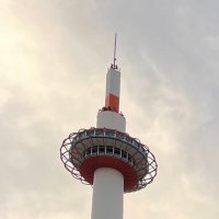 痒いなぁ (@iimuqljp4n290) 's Twitter Profile