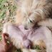 🐕แนวน้อง🐕💦💦 (@gyitaun56650) Twitter profile photo 🐕แนวน้อง🐕💦💦 (@gyitaun56650) Twitter profile photo
