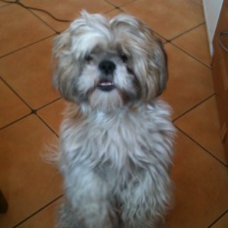 chrust11's profile picture. 