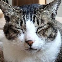 ゆゆ@長野県 (@yuyu_dr) 's Twitter Profile