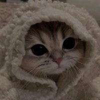 HiDigits. (@hidigits_) 's Twitter Profile Photo HiDigits. (@hidigits_) 's Twitter Profile Photo