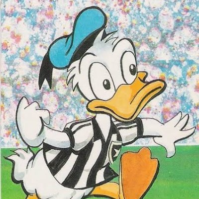 _joaodias's profile picture. 