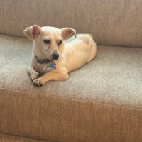 BillJohnson (@maniakinter) 's Twitter Profile