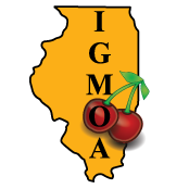 GamingIllinois's profile picture. Proudly Representing the Illinois Video Gaming Industry.