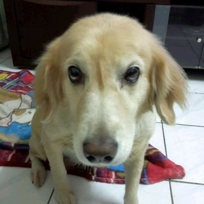 Summer19716023's profile picture. 