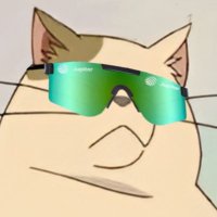 VAN (@vanguard0x) 's Twitter Profile
