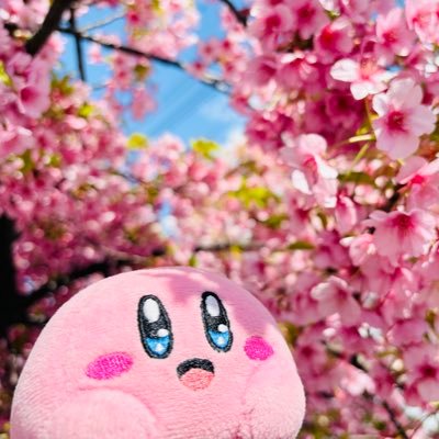 Chapalitoo's profile picture. no busco nada, lo quiero todo. https://t.co/kMcJfT1lSw