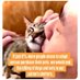 STOP ANIMAL CRUELTY (@therealtorinyc) Twitter profile photo STOP ANIMAL CRUELTY (@therealtorinyc) Twitter profile photo
