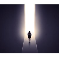 LetLightIn (@getoutnow764) 's Twitter Profile