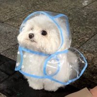 ♡ yokyok ♡ (@yoknism) 's Twitter Profile