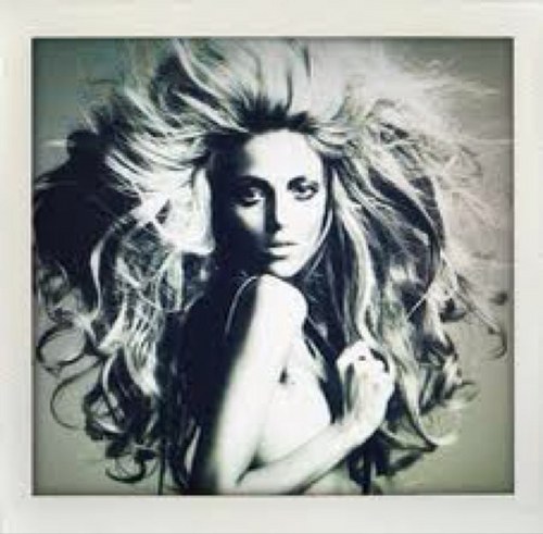 skinnygrlprobzs's profile picture. for the shit a skinny girl goes through.