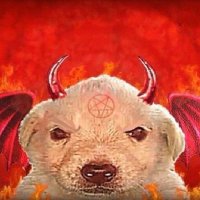 J (@xxxxsueeee) 's Twitter Profile