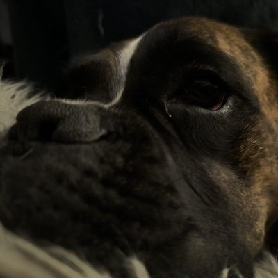 AncikaZs's profile picture. 