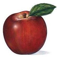 #Nutritional and #health information. http://t.co/089SC7mqXO
https://t.co/mpZ8XTMzmJ
http://t.co/B3qYEw2eF1