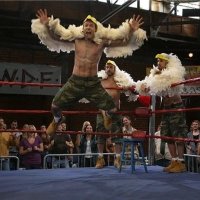 Brett DeLawyer A Deñial Correlatioñ (Proud 5.8%er) (@_birdsofwar) 's Twitter Profile Photo Brett DeLawyer A Deñial Correlatioñ (Proud 5.8%er) (@_birdsofwar) 's Twitter Profile Photo
