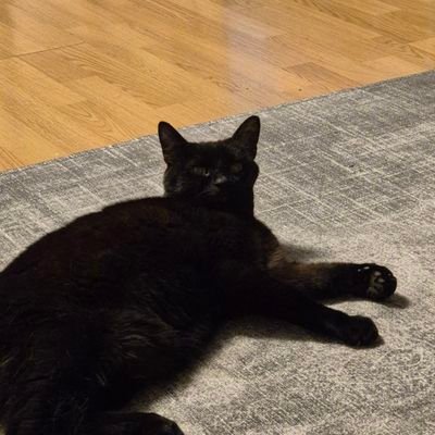 FredTedWasTaken's profile picture. 33rd at GGST evo france.
Norwegian axl and juri main.
Feel free to dm for games :).
i am very bad at street fighter 6.