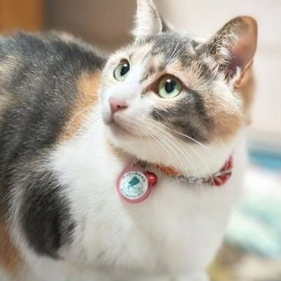 K518bw's profile picture. 