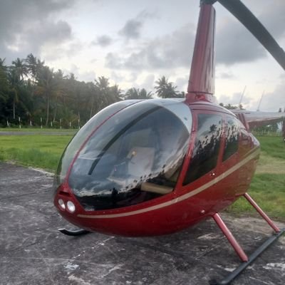 silveiraph8's profile picture. 