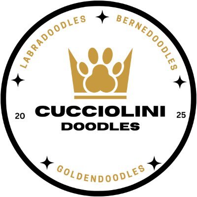 by_cucciolini's profile picture. “Our Mission is to provide the perfect family pet by breeding loving, healthy, intelligent, and beautiful puppies.”