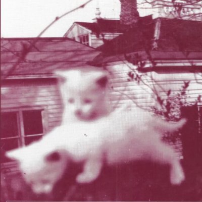 jooceboxm's profile picture. https://t.co/Rfk7yWRm7e