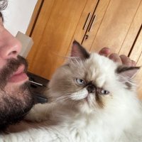 cattrovert🌕 (@ailurofilico) 's Twitter Profile Photo cattrovert🌕 (@ailurofilico) 's Twitter Profile Photo