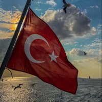 Leyla 🇹🇷 (@leyla_calli) Twitter profile photo