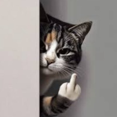 samurainovice's profile picture. 