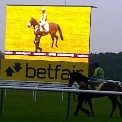 Big horse racing fan as well as many other sports.