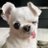 SWanda42492's profile image