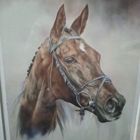 Chris Shubrook (@shoobs23) 's Twitter Profile Photo Chris Shubrook (@shoobs23) 's Twitter Profile Photo