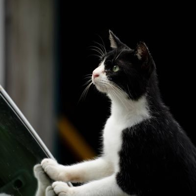 たかぴぃさんのプロフィール画像