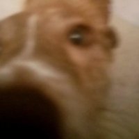 monstro nikihra (@mlnnhlnstldans) Twitter profile photo