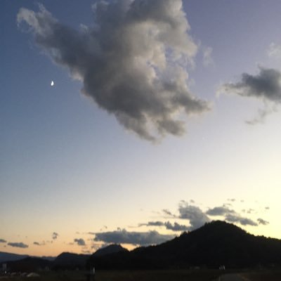 いさらメメさんのプロフィール画像