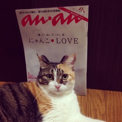 mamedaihuku0607's profile picture. 