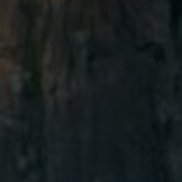 DanTurnez's profile picture. 