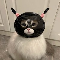 Clauu7 (@bts_clau7) 's Twitter Profile Photo Clauu7 (@bts_clau7) 's Twitter Profile Photo