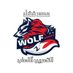 محمد فضل/ التعريب العاب الحاسوب والكونسل (@thewolfgamer_ps) Twitter profile photo محمد فضل/ التعريب العاب الحاسوب والكونسل (@thewolfgamer_ps) Twitter profile photo