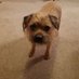 Ann Craig (@craig46243) Twitter profile photo Ann Craig (@craig46243) Twitter profile photo