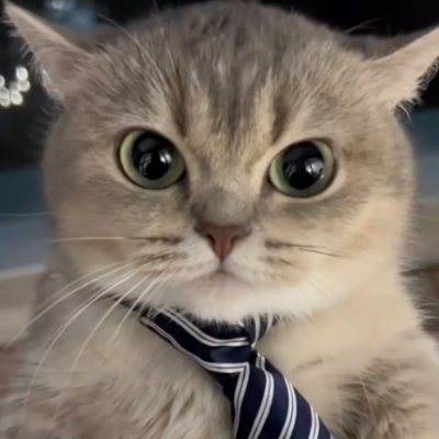 WahJay2001's profile picture. UX Designer
User Researcher
Learner