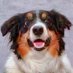 Jenn Tackman Pawprint Furtography (@pawfurtography) Twitter profile photo Jenn Tackman Pawprint Furtography (@pawfurtography) Twitter profile photo